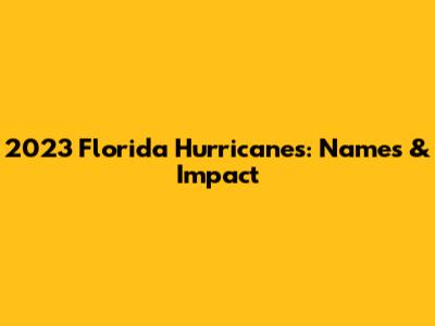 2023 Florida Hurricanes: Names & Impact