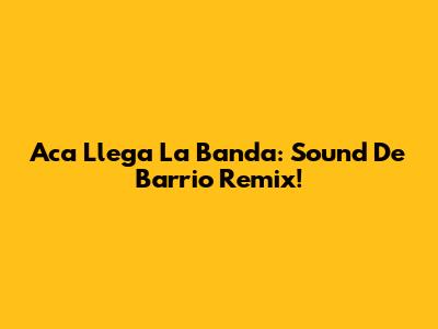 Aca Llega La Banda: Sound De Barrio Remix!
