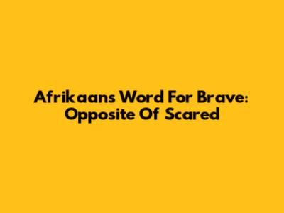 Afrikaans Word For Brave: Opposite Of Scared