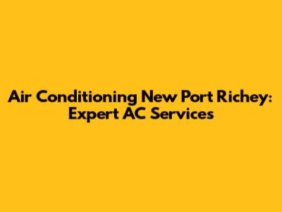 Air Conditioning New Port Richey: Expert AC Services