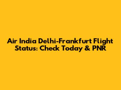 Air India Delhi-Frankfurt Flight Status: Check Today & PNR