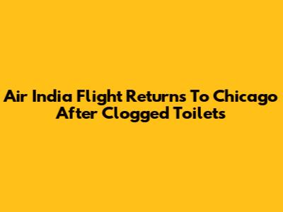 Air India Flight Returns To Chicago After Clogged Toilets