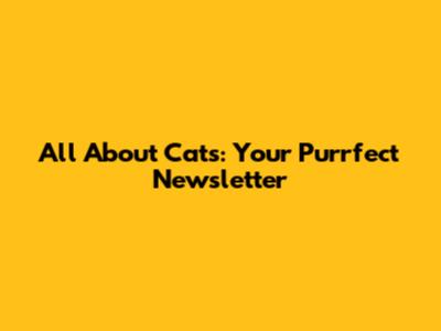 All About Cats: Your Purrfect Newsletter