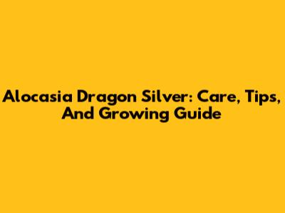 Alocasia Dragon Silver: Care, Tips, And Growing Guide