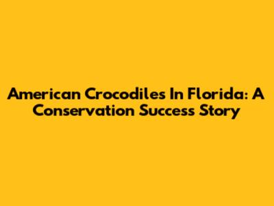 American Crocodiles In Florida: A Conservation Success Story