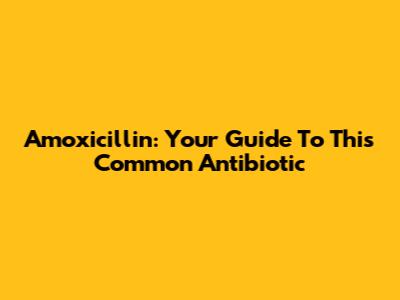 Amoxicillin: Your Guide To This Common Antibiotic