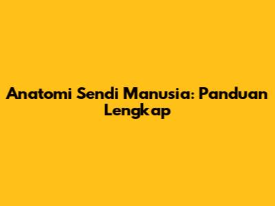 Anatomi Sendi Manusia: Panduan Lengkap