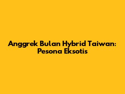 Anggrek Bulan Hybrid Taiwan: Pesona Eksotis