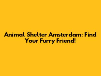 Animal Shelter Amsterdam: Find Your Furry Friend!