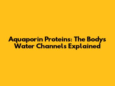 Aquaporin Proteins: The Body's Water Channels Explained