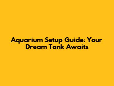Aquarium Setup Guide: Your Dream Tank Awaits