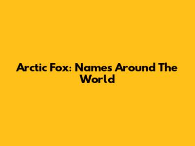 Arctic Fox: Names Around The World