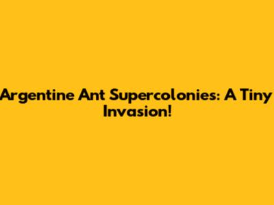 Argentine Ant Supercolonies: A Tiny Invasion!
