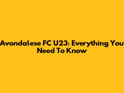 Avondalese FC U23: Everything You Need To Know