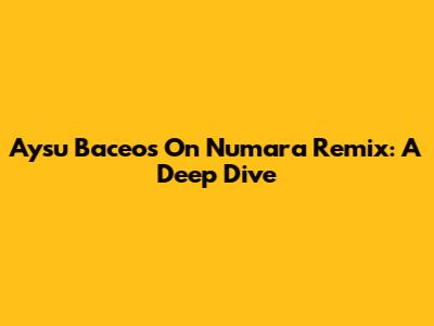 Aysu Baceo's 'On Numara Remix': A Deep Dive