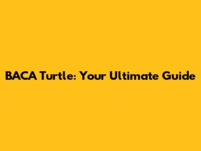 BACA Turtle: Your Ultimate Guide