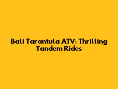 Bali Tarantula ATV: Thrilling Tandem Rides