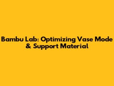 Bambu Lab: Optimizing Vase Mode & Support Material