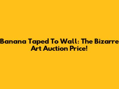 Banana Taped To Wall: The Bizarre Art Auction Price!