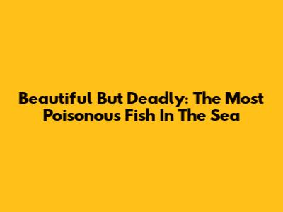 Beautiful But Deadly: The Most Poisonous Fish In The Sea