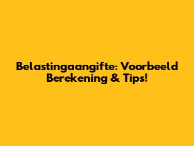Belastingaangifte: Voorbeeld Berekening & Tips!