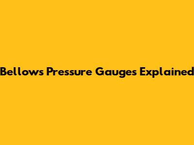 Bellows Pressure Gauges Explained
