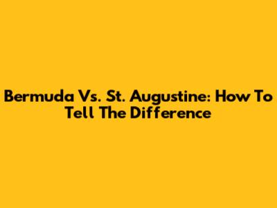 Bermuda Vs. St. Augustine: How To Tell The Difference