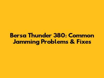 Bersa Thunder 380: Common Jamming Problems & Fixes