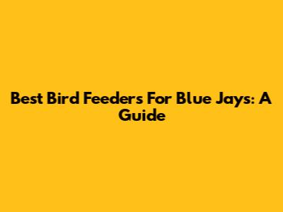 Best Bird Feeders For Blue Jays: A Guide