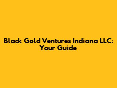 Black Gold Ventures Indiana LLC: Your Guide