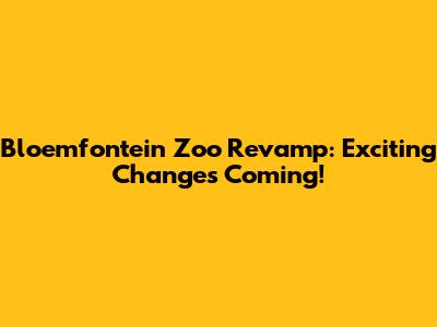 Bloemfontein Zoo Revamp: Exciting Changes Coming!