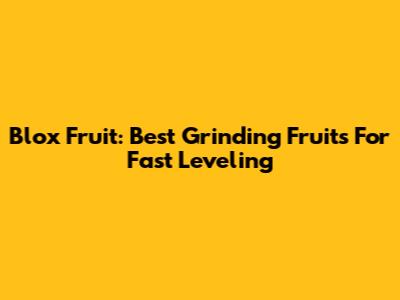 Blox Fruit: Best Grinding Fruits For Fast Leveling