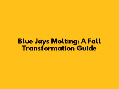 Blue Jays Molting: A Fall Transformation Guide