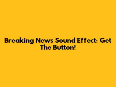 Breaking News Sound Effect: Get The Button!