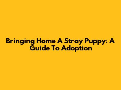 Bringing Home A Stray Puppy: A Guide To Adoption