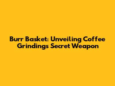 Burr Basket: Unveiling Coffee Grinding's Secret Weapon