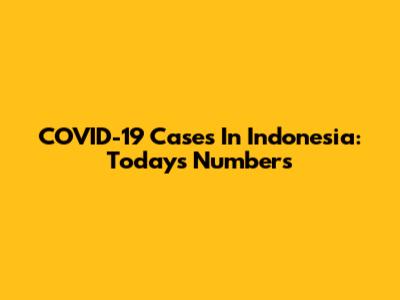 COVID-19 Cases In Indonesia: Today's Numbers