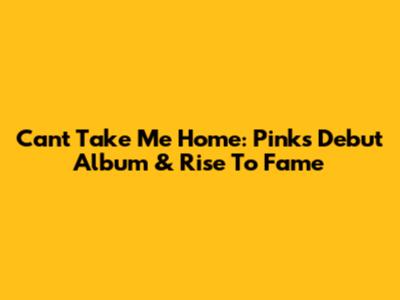 Can't Take Me Home: Pink's Debut Album & Rise To Fame