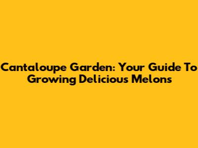 Cantaloupe Garden: Your Guide To Growing Delicious Melons