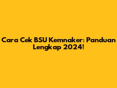 Cara Cek BSU Kemnaker: Panduan Lengkap 2024!