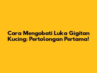 Cara Mengobati Luka Gigitan Kucing: Pertolongan Pertama!