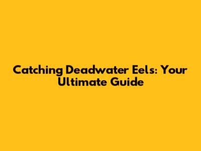 Catching Deadwater Eels: Your Ultimate Guide
