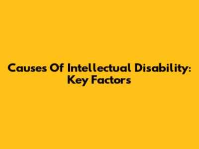 Causes Of Intellectual Disability: Key Factors