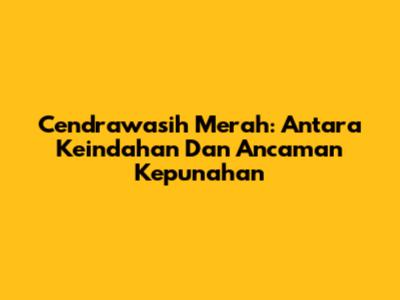 Cendrawasih Merah: Antara Keindahan Dan Ancaman Kepunahan