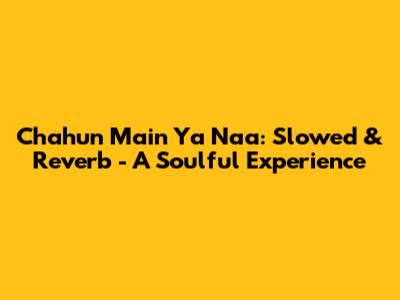 Chahun Main Ya Naa: Slowed & Reverb - A Soulful Experience