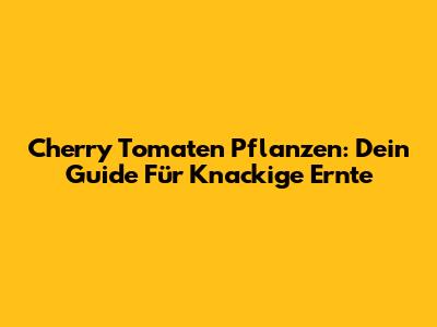 Cherry Tomaten Pflanzen: Dein Guide Für Knackige Ernte