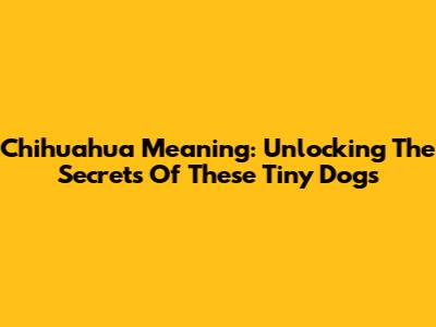 Chihuahua Meaning: Unlocking The Secrets Of These Tiny Dogs