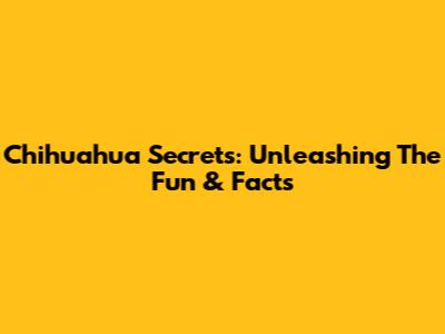Chihuahua Secrets: Unleashing The Fun & Facts
