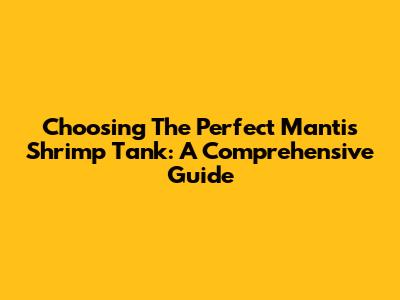 Choosing The Perfect Mantis Shrimp Tank: A Comprehensive Guide