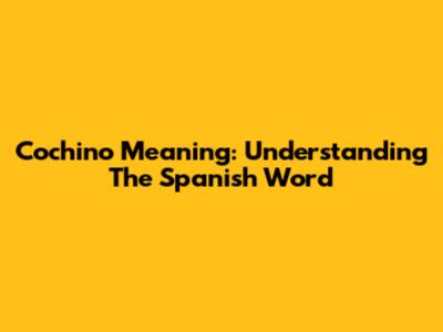 Cochino Meaning: Understanding The Spanish Word